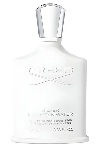 Silver Montain